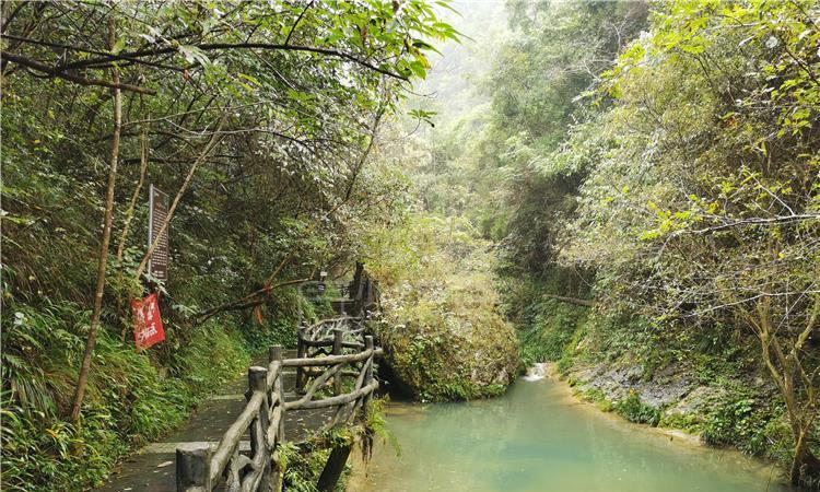 人鱼公主温泉疗养